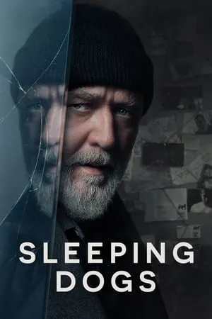 YoMovies Sleeping Dogs 2024 English Full Movie WEB-DL 480p 720p 1080p Download